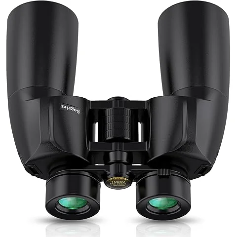 Compact binoculars used at a Florida wildlife viewing platform overlooking a spring-fed river