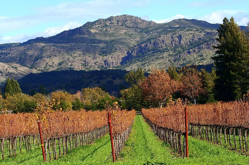 Napa Valley Wine Country