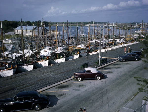 Tarpon Springs Sponge Docks Greek Seafood Row