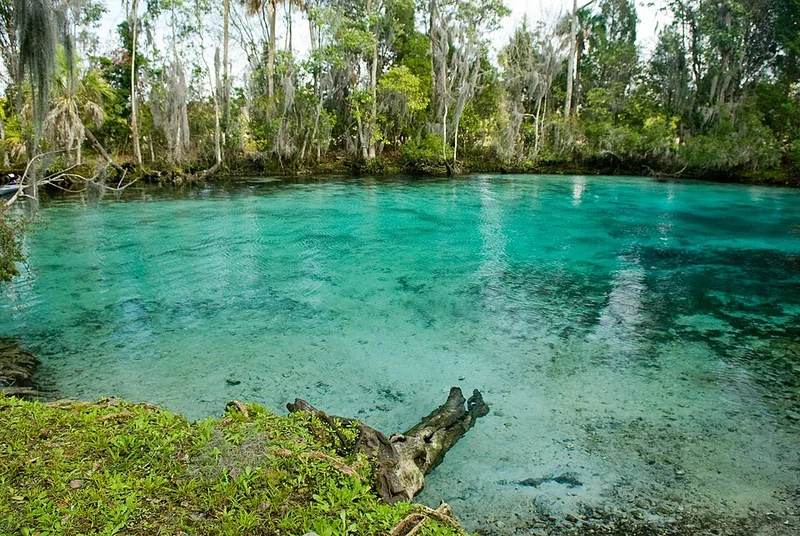 Three Sisters Springs (Crystal River NWR)