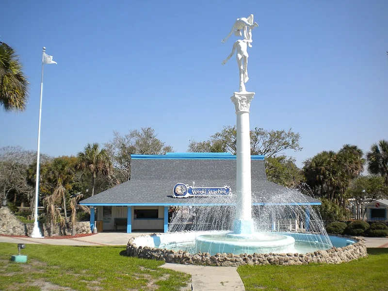 Weeki Wachee Springs State Park (Live Mermaid Shows)