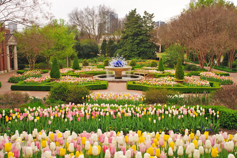 Atlanta Botanical Garden