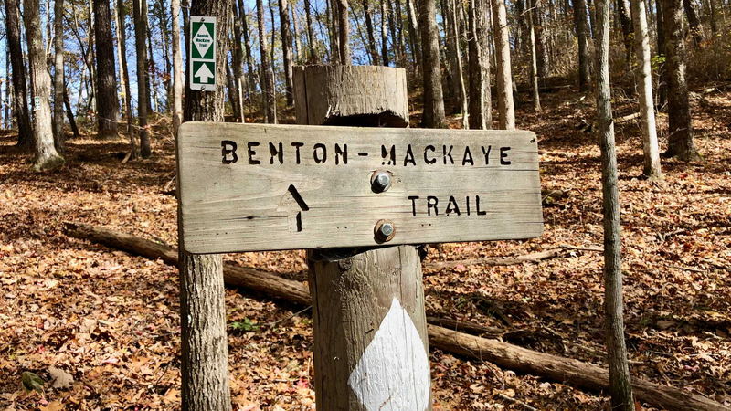 Benton MacKaye Trail (Fannin County Section)