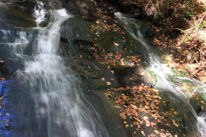 Benton MacKaye Trail (Fannin County Section)