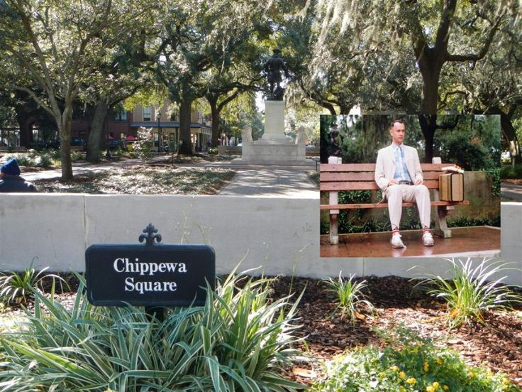 Chippewa Square (Forrest Gump Bench Location)