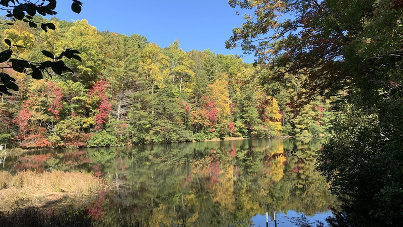 Dockery Lake Recreation Area (Chattahoochee National Forest)