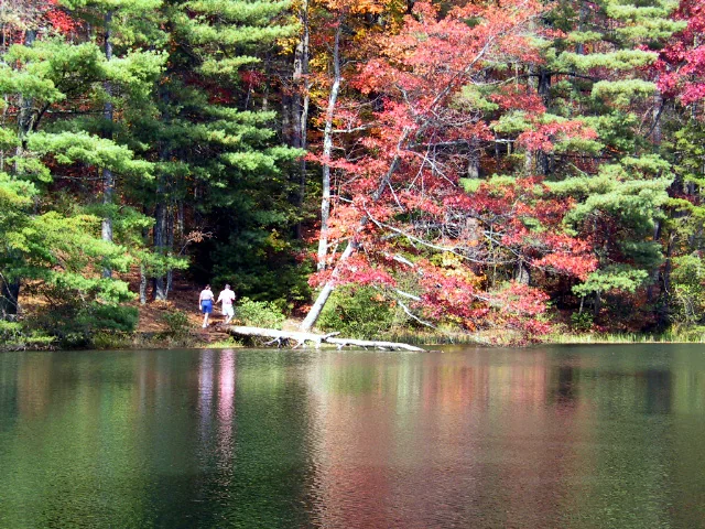 Dockery Lake Recreation Area (Chattahoochee National Forest)