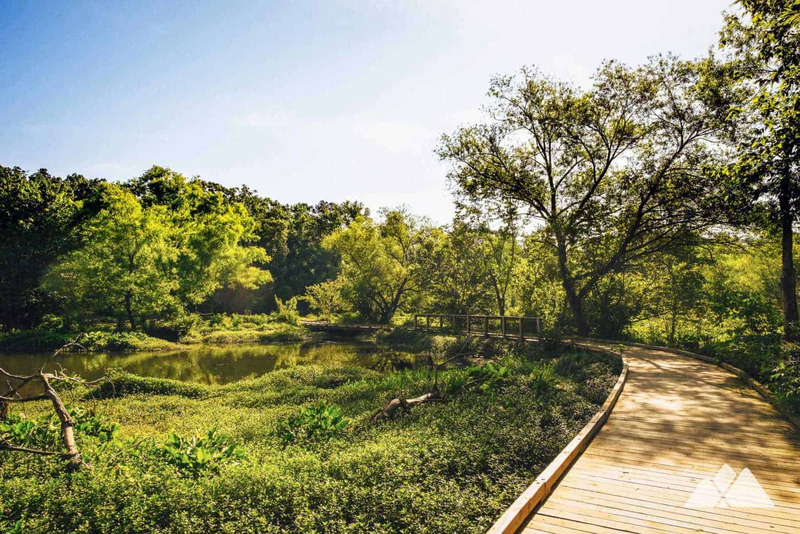 Doll's Head Trail (Constitution Lakes)