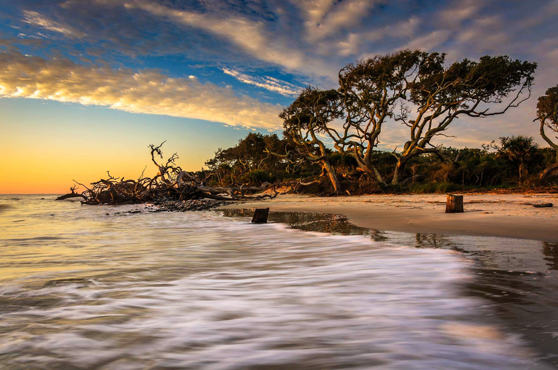 Driftwood Beach (Jekyll Island)