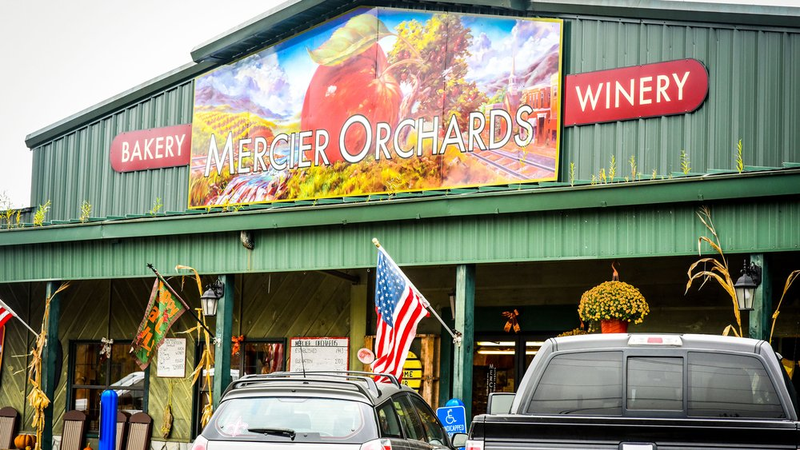 Mercier Orchards