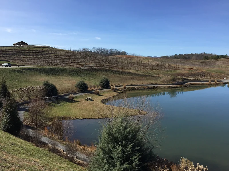 Mercier Orchards