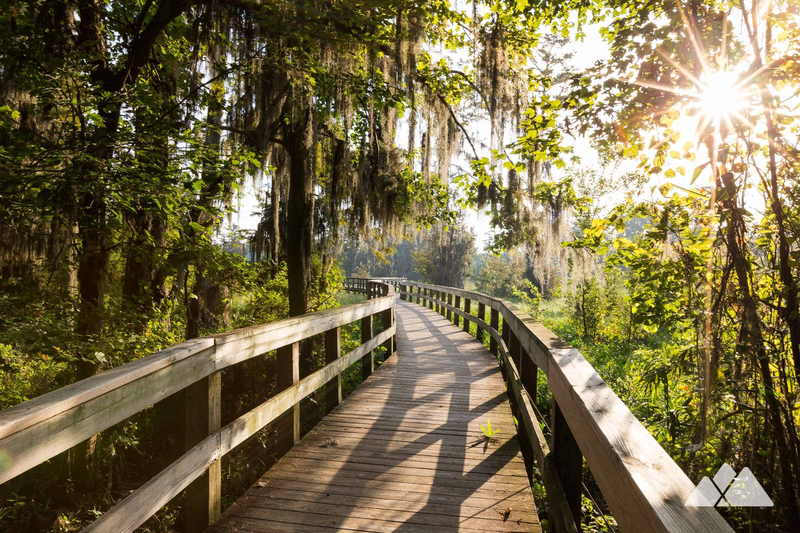 Phinizy Swamp Nature Park