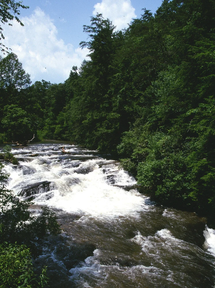 Soque River Corridor