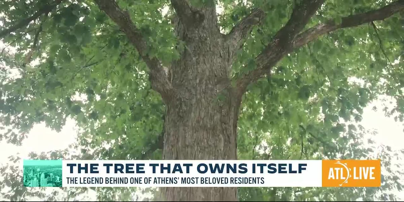 The Tree That Owns Itself