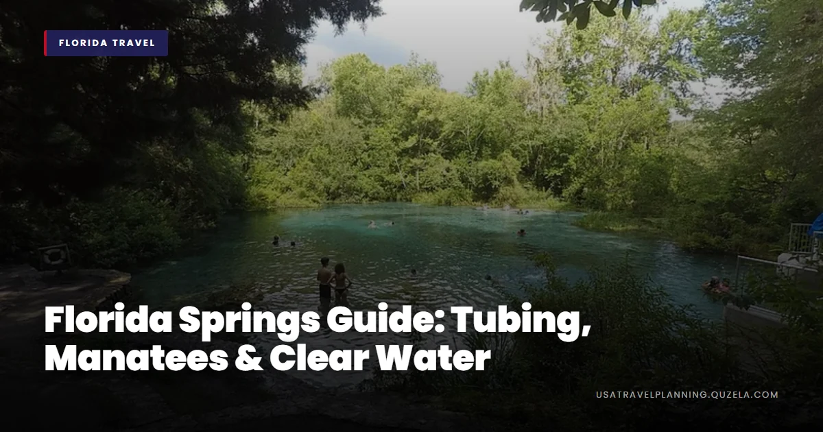 Florida Springs Guide: Tubing, Manatees & Clear Water