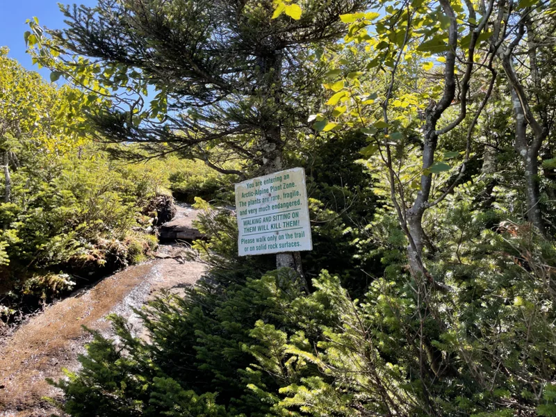 Adirondack Park & High Peaks Wilderness