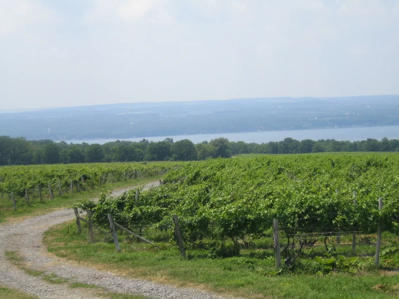 Finger Lakes Wine Country