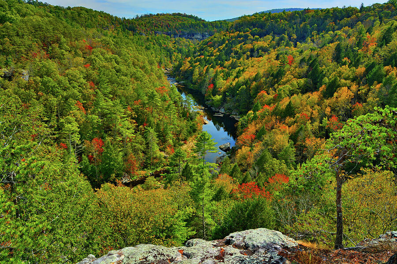 Obed Wild and Scenic River
