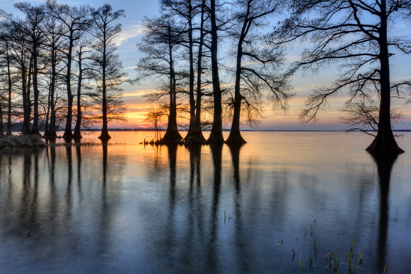 Reelfoot Lake State Park