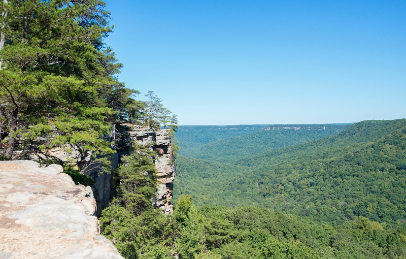 Savage Gulf State Natural Area