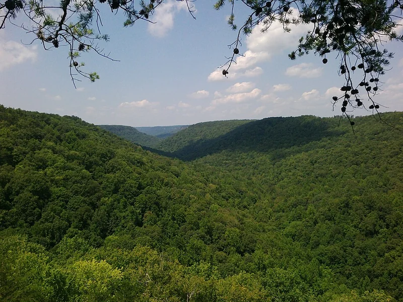 Savage Gulf State Natural Area