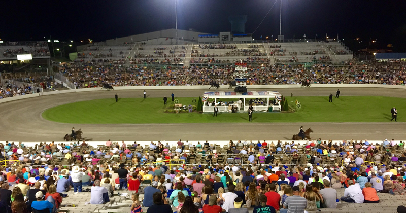Tennessee Walking Horse National Celebration (Shelbyville)