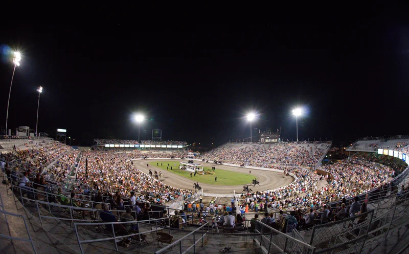 Tennessee Walking Horse National Celebration (Shelbyville)