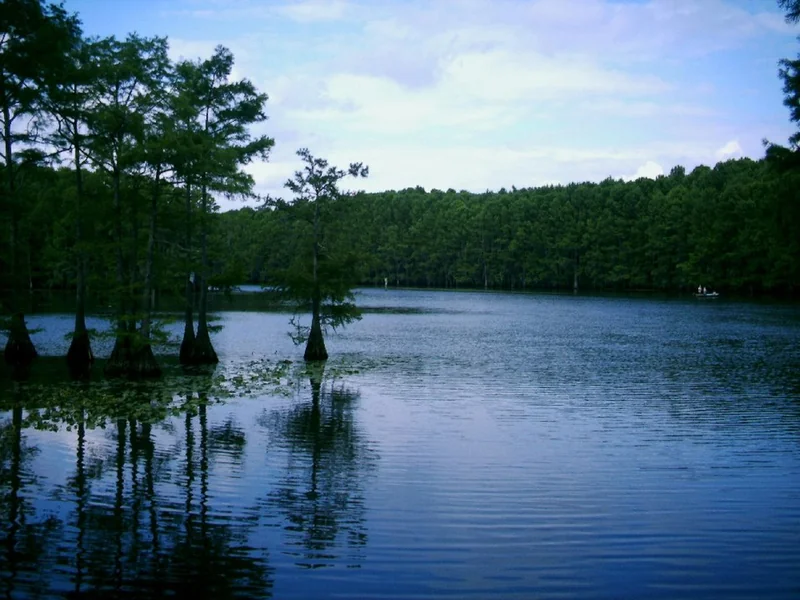 Caddo Lake State Park